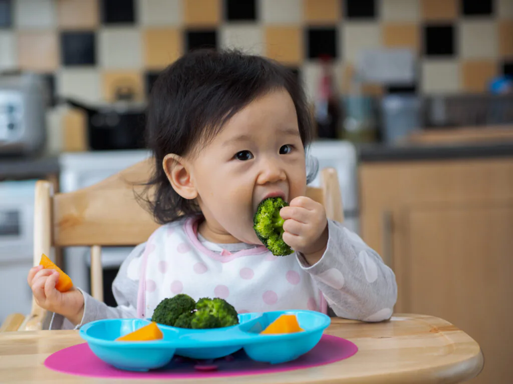 bebê introdução alimentar blw